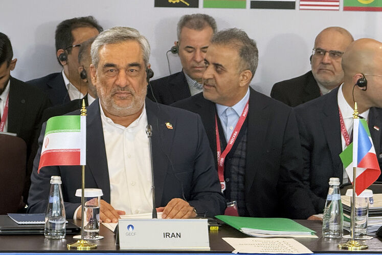 امنیت انرژی جهان در گرو احترام به حاکمیت ملی کشورهاست